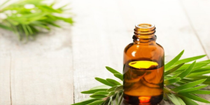 how to use Tea tree oil for Toothache